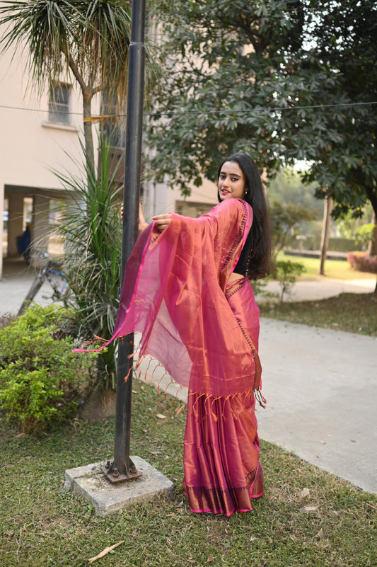 Jhalmale - Cotton Tissue Saree