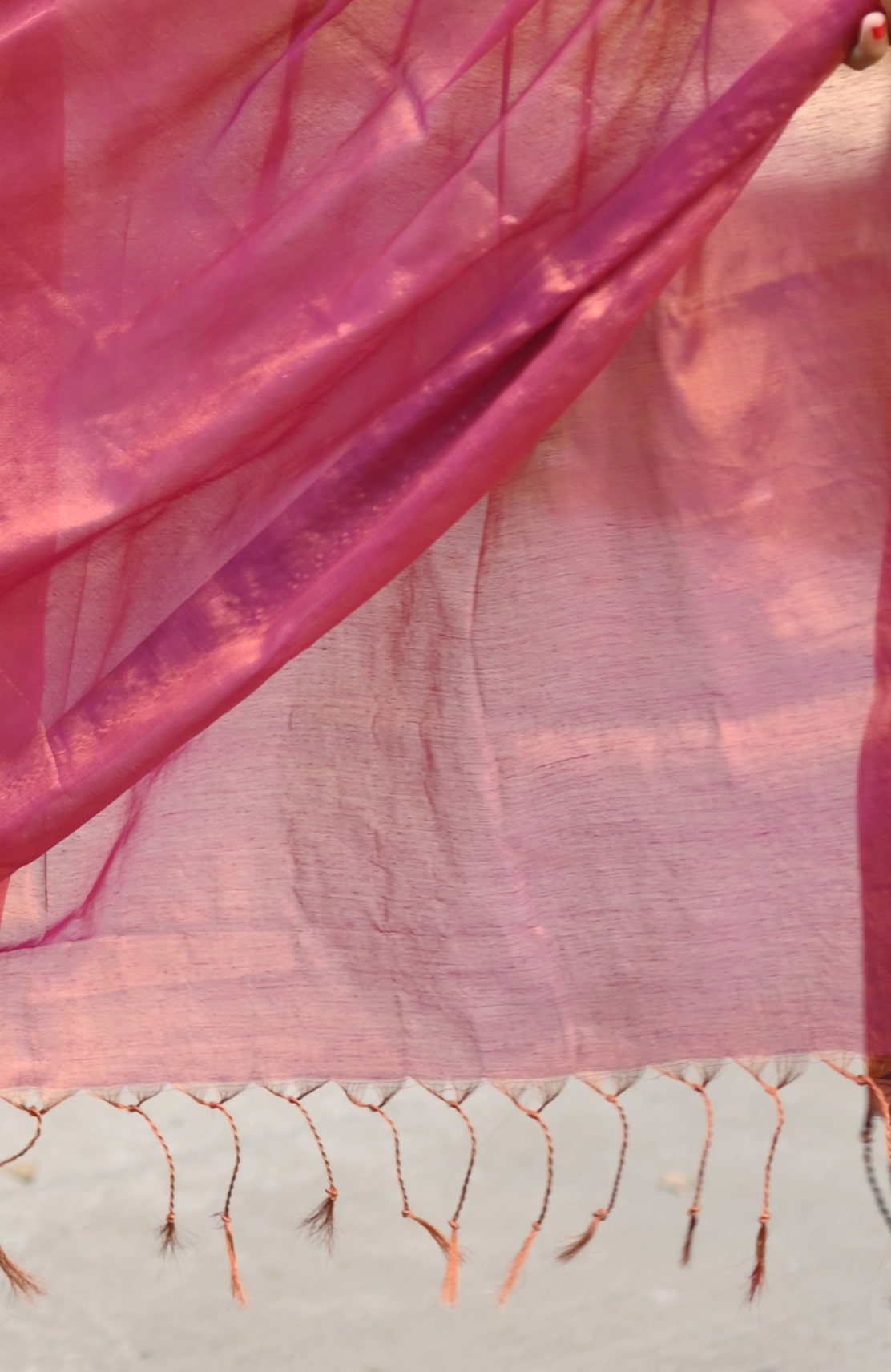Jhalmale - Cotton Tissue Saree