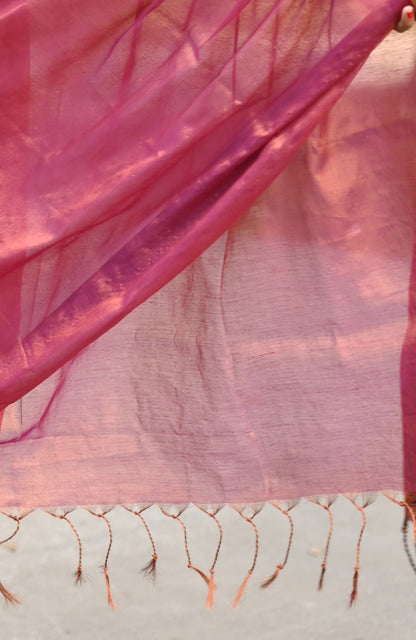 Jhalmale - Cotton Tissue Saree