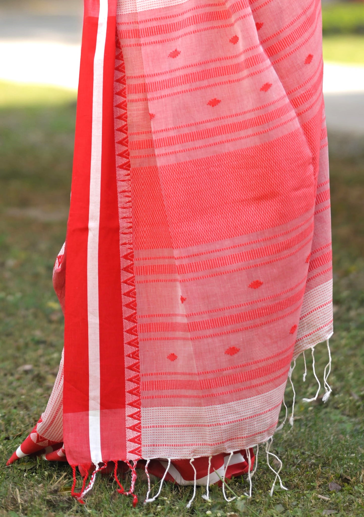 MAYA - Premium Cotton Handloom Saree