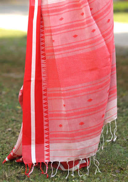 MAYA - Premium Cotton Handloom Saree