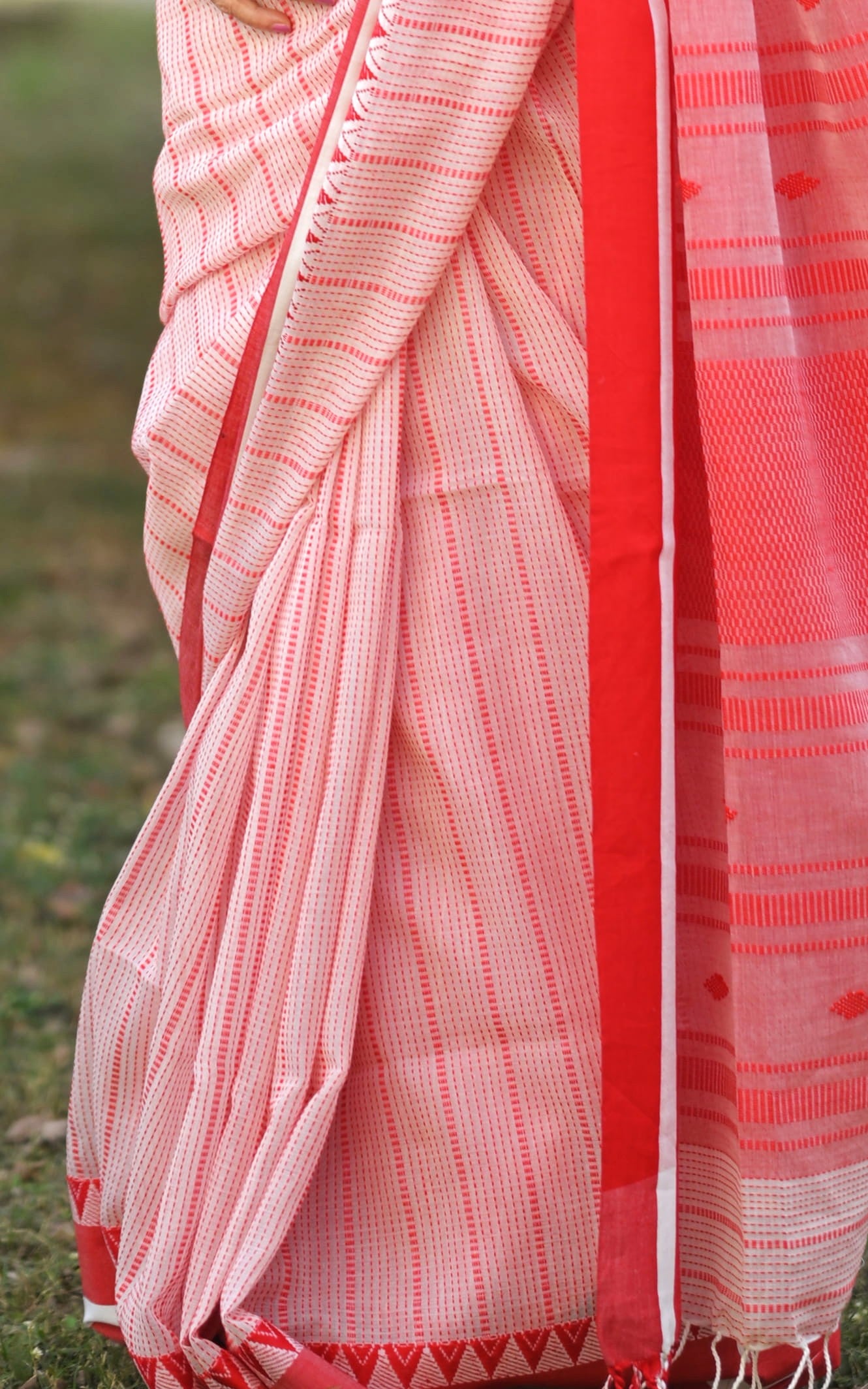 MAYA - Premium Cotton Handloom Saree