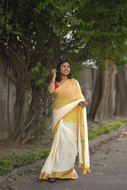 Swarna Dhaara - Mul Cotton Saree
