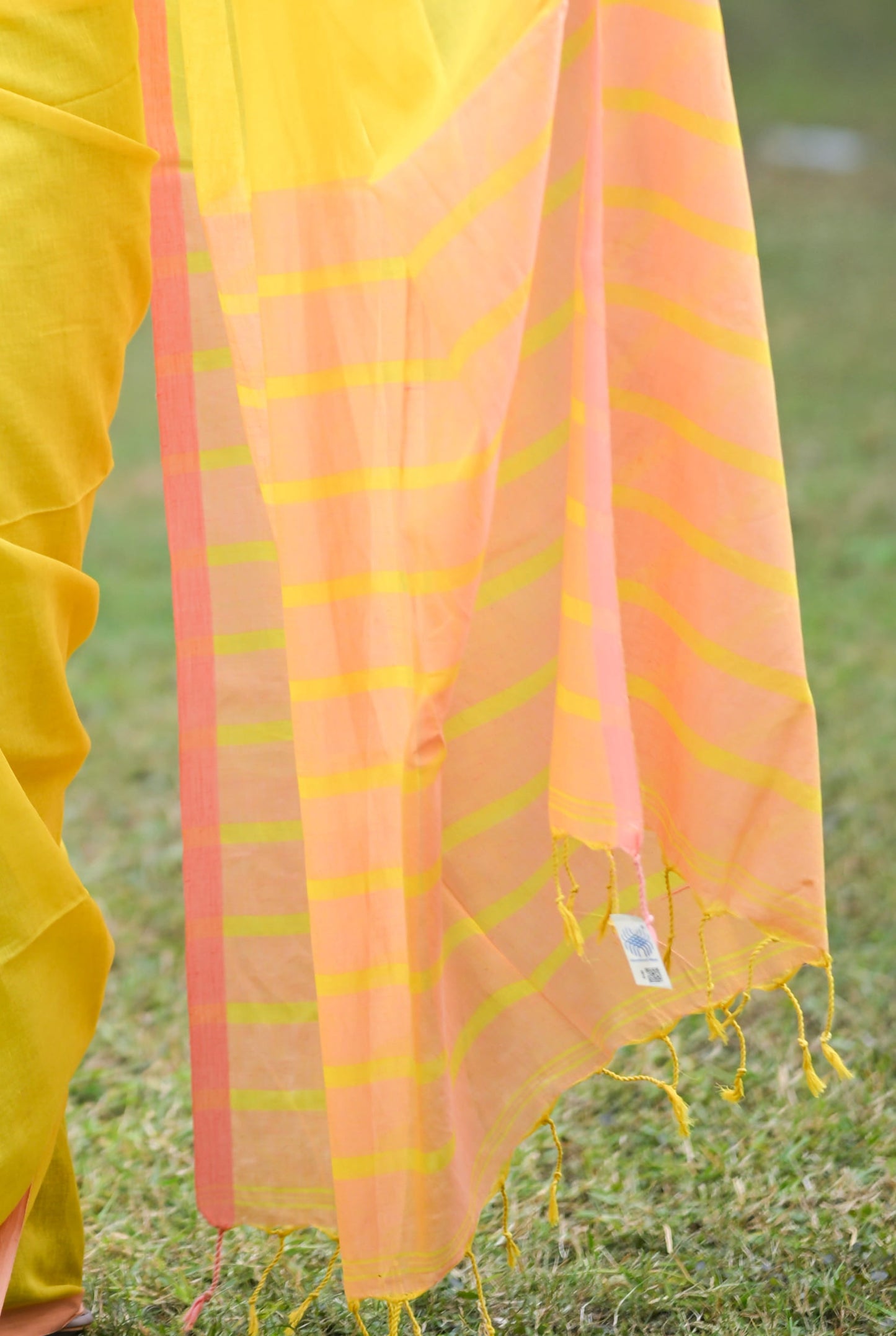 BINAPANI Cotton Handloom Saree