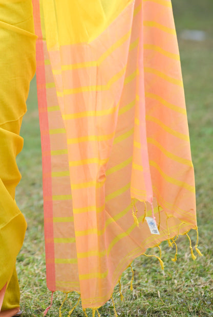 BINAPANI Cotton Handloom Saree